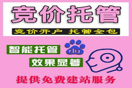 成功案例：百度竞价账户托管如何助力企业增长